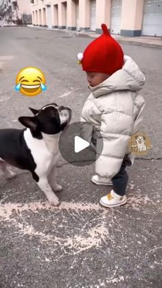 Dog Humor Hilarious, Funny Dog Videos Hilarious Laughing, Funny Dog Videos Make Me Laugh, Funny Dog Videos Try Not To Laugh, Dog Videos Funny Hilarious, Funny Dog Videos Hilarious, Dogs Dancing, Hilarious Dog Videos, Dog Videos Funny