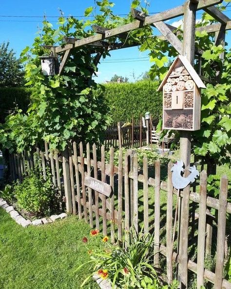 Diy Cement, Garden Decor Diy, Potager Garden, Cement Planters, Have Inspiration, Garden Yard Ideas, Vegetable Garden Design, Rustic Garden Decor, Garden Trellis