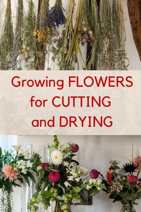 Flowers For Vases, Dried Flower Confetti, Gardening Backyard, Growing Cut Flowers, Dried Flowers Diy, Cut Flower Farm, English Country Garden, Growing Dahlias, Pressed Flower Crafts