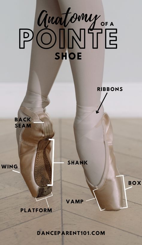 Nike Pointe Shoes, Pointe Exercises, Colored Pointe Shoes, New Pointe Shoes, Point Shoe, Ballet Basics, Pointe Shoes Ballet, Ballet Outfits, Ballet Stretches