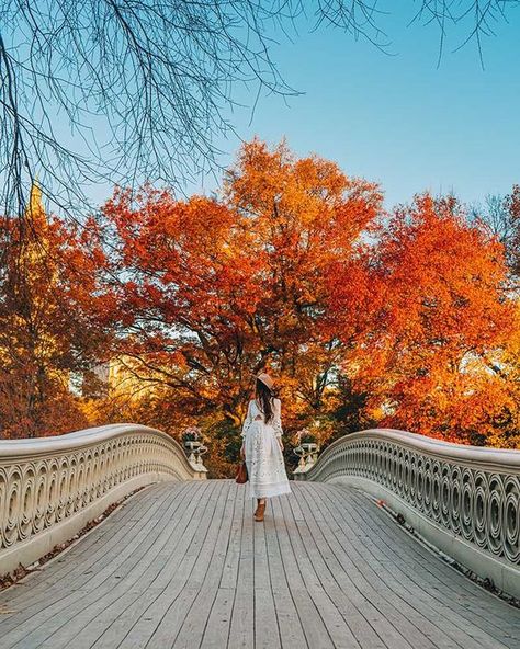 Fall Photoshoot Ideas For Kids, Photoshoot Ideas For Kids, Ny Pictures, Central Park Picnic, Boston Fall, Central Park Fall, Fall Photo Props, Fall Photoshoot Ideas, Outdoor Family Photoshoot