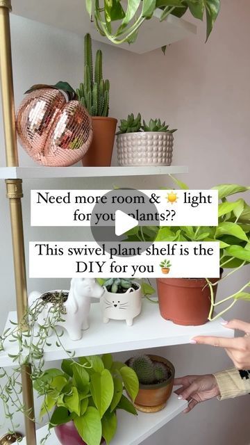 Katie Unicorn | Home & Garden Design on Instagram: "This swivel plant shelf DIY - originally sourced from @neverskipbrunch - has got to be the cutest and practical! solution for your plant babies 🪴   This shelf does it all: Swivels so your plant babies can get the even light they need, stacks your plants vertical so you have more room to grow your collection, AND adds a beautiful feature to your room you can change up anytime you want. Like movable living art. I love that it’s a functional and fun solution.   PRO TIPS:  🪴 When drilling your holes in the shelves, drill them at a slight angle so the shelves remain level once they have the plants on them so they don’t ‘slant’ or sag from the weight. (Drill some test holes in a scrap piece of wood to test it out!) 🪴Make sure you prime your Diy Swivel Shelf, Swivel Shelf For Plants, Plant Shelf Diy, Swivel Shelf, Diy Plant Shelf, Window Plant Shelf, Plant Parenthood, Indoor Plant Shelves, Succulent Ideas