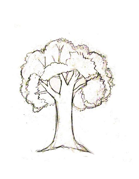 How to draw a tree tutorial Drawing Of A Tree Simple, 3d Tree Drawing, Family Tree Drawing Ideas Easy, How To Draw Family Tree, How To Draw Tree Branches, How To Draw A Tree Step By Step Easy, Tree Drawing Reference, How To Draw A Tree, Three Drawing