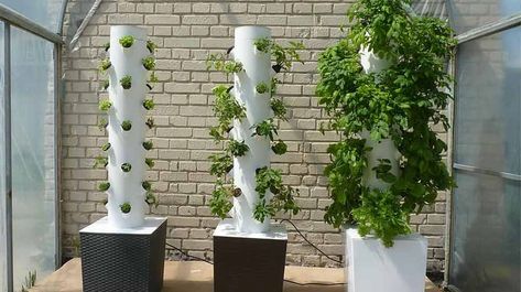 How To Build Your Own Hydroponic Tower Garden Outdoor Hydroponics, Hydroponic Tower Garden, Tower Garden Diy, Hydroponic Tower, Hydroponic Gardening Diy, Vertical Hydroponics, Indoor Hydroponic Gardening, Hydro Gardening, Hydroponic Gardening System