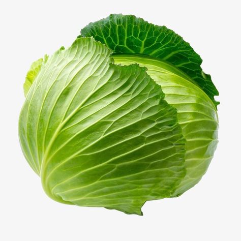 Seasoning For Cabbage, Cabbage Health Benefits, Cabbage Benefits, Vegetable Pictures, Biennial Plants, List Of Vegetables, Cooked Cabbage, Home Garden Plants, Green Cabbage