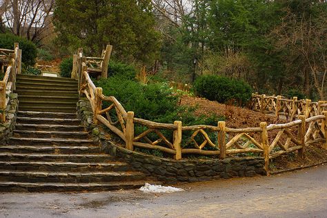 We love this fencing for the yard Rustic Fencing, Easy Fence, Fence Plants, Rustic Fence, Fencing Ideas, Living Fence, Lattice Fence, Central Park Nyc, Types Of Fences