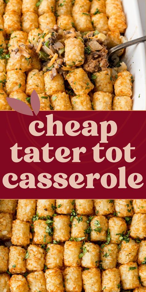 Whip up this delicious Tater Tot Casserole with ground beef for an easy, budget-friendly meal! You can also make it vegetarian with simple swaps, perfect for the whole family. Ground Beef Recipes For A Crowd, Tator Tots Casserole Hamburger, Cheap Meals On A Budget Families, Meals For Large Groups, Easy Winter Soups, Cheesy Tater Tot Casserole, Easy Tater Tot Casserole, Casserole With Ground Beef, Easy Tater Tots