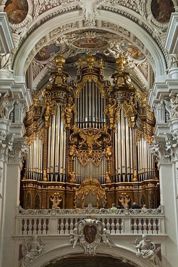 Pipe Organ Aesthetic, Organ Aesthetic, Warforged Bard, Brown Goth, Brown Academia, Passau Germany, Salve Regina, Around The Fur, Dark Academia Wallpaper