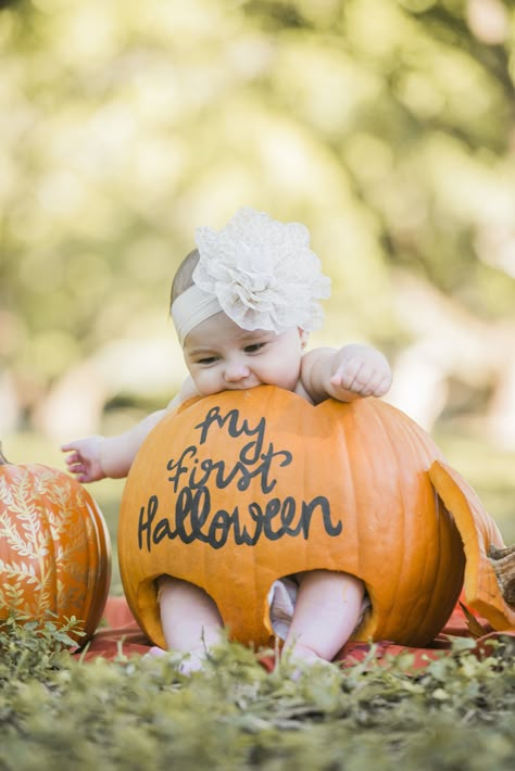 Cute 9 Month Old Halloween Costume, 5 Month Halloween Photoshoot, 3month Halloween Photoshoot, 6 Months Halloween Pictures, 6 Month October Photoshoot, Fall Baby Shoot Ideas, 4 Month Halloween Pictures, 6 Month Pumpkin Photoshoot, Diy Pumpkin Photo Shoot Baby