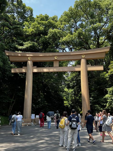 Meiji Jingu Shrine, Meiji Jingu, Meiji Shrine, Torii Gate, Japan Photo, Gate, Tokyo, Japan, Quick Saves