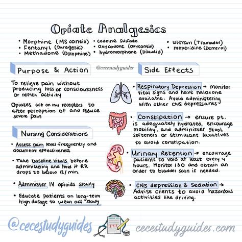 Pain is something all nurses treat, no matter your specialty. Understanding analgesics is key! 💊 From NSAIDs like ibuprofen to opioids, each has unique uses and side effects. Follow @cecestudyguides for more nursing notes! #nursingstudents #painkillers #pharmacology Opioids Pharmacology, Analgesics Pharmacology, Nsaids Pharmacology, Perioperative Nursing Notes, Nursing Pharmacology, Pharmacology Notes, Pharmacology Nursing Study Notes, Pharmacology Nursing Study, Nursing School Pharmacology