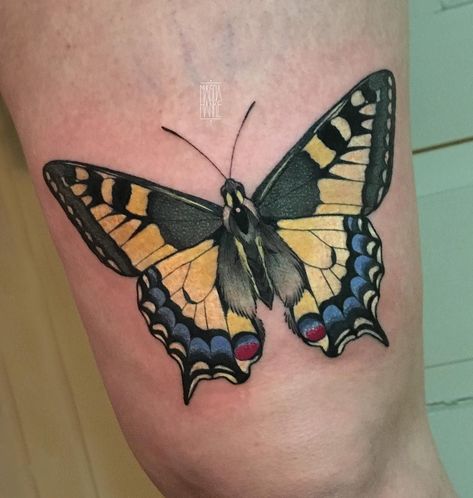 Butterfly Neotraditional, Butterfly Eyes Tattoo, Swallowtail Butterfly Tattoo, Tiger Butterfly Tattoo, Yellow Butterfly Tattoo, Traditional Butterfly Tattoo, Butterfly Tattoo Stencil, Butterfly Hand Tattoo, Butterfly Tattoo Meaning