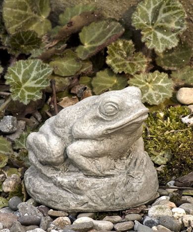 Tiny Frog cast stone frog statue Garden Frog Statue, Backyard Gifts, Frog Garden, Campania International, Garden Frogs, Frog Statues, Pet Cemetery, Concrete Statues, Frog Decor