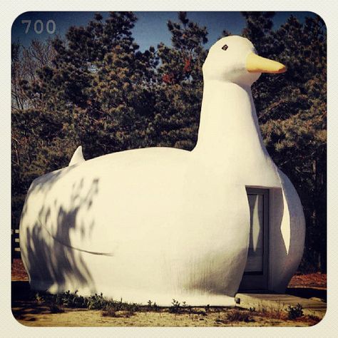 Robert Charles Venturi - DUCK HOUSE All Animals Photos, Denise Scott Brown, Robert Venturi, Big Duck, Louis Kahn, Duck House, Philip Johnson, Unusual Homes, Interesting Buildings