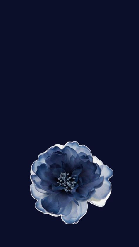 Dark Blue Abstract Wallpaper, Navy Blue Phone Theme, Iphone Midnight, Keypad Phone, Christmas Lockscreen, Blue Ipad, Flowers Black Background, Navy Blue Walls, Flowers Photography Wallpaper