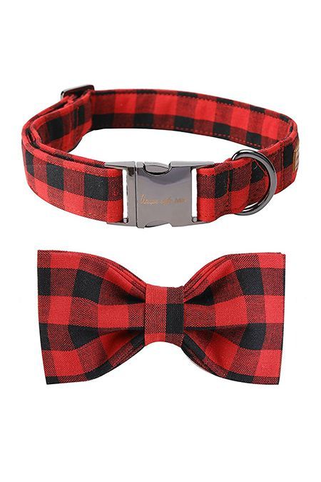 Soft & Comfy Bowtie Collargoodhousemag Cool Dog Collars, Engraved Dog Collar, Dream Dog, Cat Bow Tie, Cat Bow, Puppy Collars, Cat Collar, Girl And Dog, Pet Gift