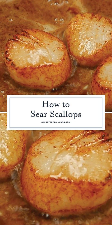 Pan Seared Scallops at home are easy to make. Learn how to prevent your scallops from sticking and get restaurant quality crust every time! #howtosearscallops #howtocookscallops www.savoryexperiments.com Best Fish Recipes, How To Cook Scallops, Fish Recipes Baked, Pan Seared Scallops, Seafood Entrees, Seared Scallops, Best Seafood Recipes, Easy Seafood, Scallop Recipes