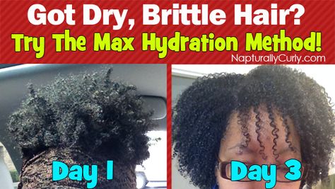 Maximum Hydration Method, Max Hydration Method, Natural Hair Regimen, Type 4 Hair, Hair Regimen, 4c Natural, Beautiful Natural Hair, 4c Natural Hair, Pelo Afro