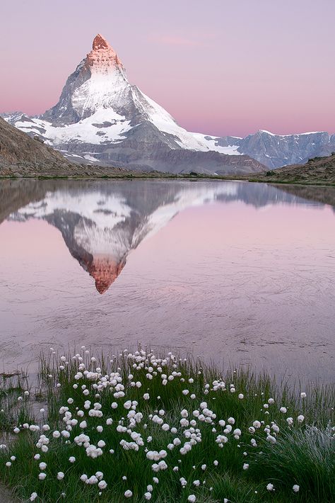 Matterhorn and Riffelsee lake at Sunrise | The Mattherhorn reflected on the Riffelsee Lake at Sunrise Matterhorn Switzerland, The Matterhorn, Earth Pictures, Zermatt, Mountain Top, Weird And Wonderful, Dream Destinations, Tourist Destinations, Mimosa