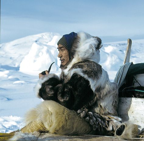 Inuit | Greenland, Inuit, people | Hurtigruten UK | Flickr Greenland People, Inuit People, Homeschool Geography, Arctic Circle, Native American Culture, People Of The World, World Cultures, Know Nothing, Avatar The Last Airbender