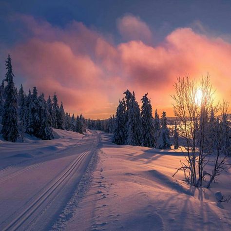 Lillehammer, Norway | Photo: @jappern on Instagram via @norge Notebook Background, Background Cool, Winter Sunset, Love Funny, Stavanger, Trondheim, Winter Scenery, Winter Beauty, Snow Scenes