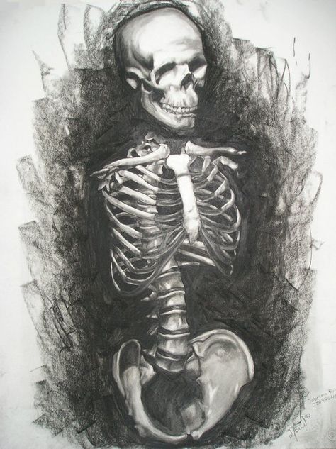 Three Skulls Drawing, Skeleton Pencil Drawings, Skeleton Charcoal Drawing, Charcoal Skeleton, Anatomy Skeleton, Skeleton Drawing, Male Figure Drawing, Skeleton Drawings, Gcse Art Sketchbook