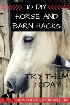 10 DIY Horse and Barn Hacks - Try Them Today! Savvy Horsewoman #horse #diy #hacks Barn Hacks, Diy Horse, Horse Care Tips, Horse Info, Horse Tips, Wine Bottle Diy Crafts, Horse Diy, Wine Bottle Diy, Horse Health