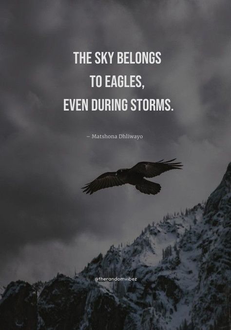 Eagle Motivational Quotes, Eagle Quotes Strength, Eagle Sayings, Eagle Quotes Inspiration, Quotes Eagle, Eagle Motivation, Eagle Mentality, Men Mentality, Eagle Quotes