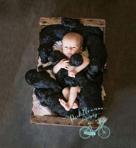 dog-gives-birth-puppies-mother-baby-same-day-kami-klingbeil-7 Newborn Baby Photos, Foto Baby, Puppy Photos, Baby Puppies, Newborn Photoshoot, Jolie Photo, Baby Dogs, Mans Best Friend, Cuteness Overload