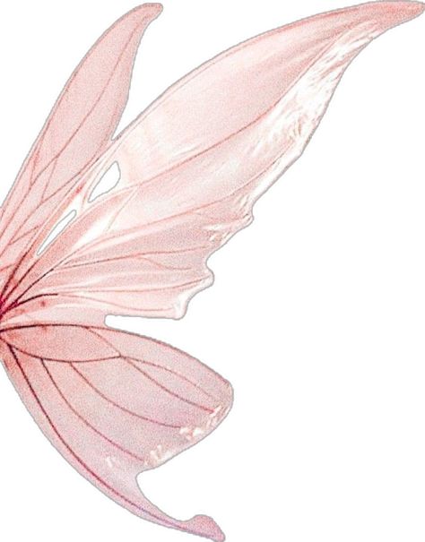 Aesthetic Pink Wallpaper Iphone, Fairy Wings Aesthetic, Wallpapers Pastel, Aesthetic Pink Wallpaper, Pink Scrapbook, Face Collage, Wings Png, Learn Watercolor Painting, Aesthetic Baby