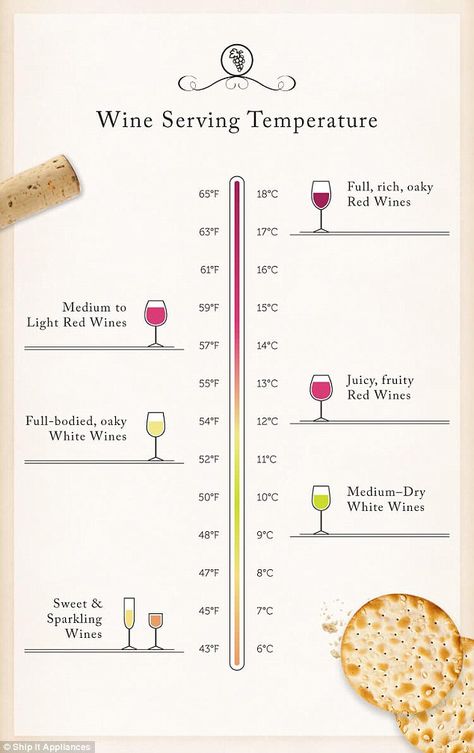 How much wine to pour and perfect food pairings Food & Wine, Wine Temperature, Wine Etiquette, Wine Basics, Wine Chart, Wine Facts, Wine Teacher, Wine 101, Wine Knowledge