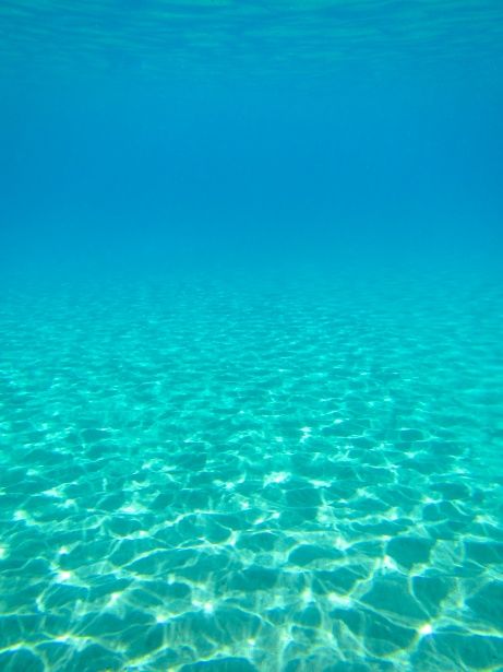 Free image of "Fundo do mar debaixo d'água" by Petr Kratochvil Leopard Print Wallpaper, Lost Ocean, Water Background, Underwater Sea, Water Pictures, Blue Beach, Print Wallpaper, Sandy Beaches, View Image