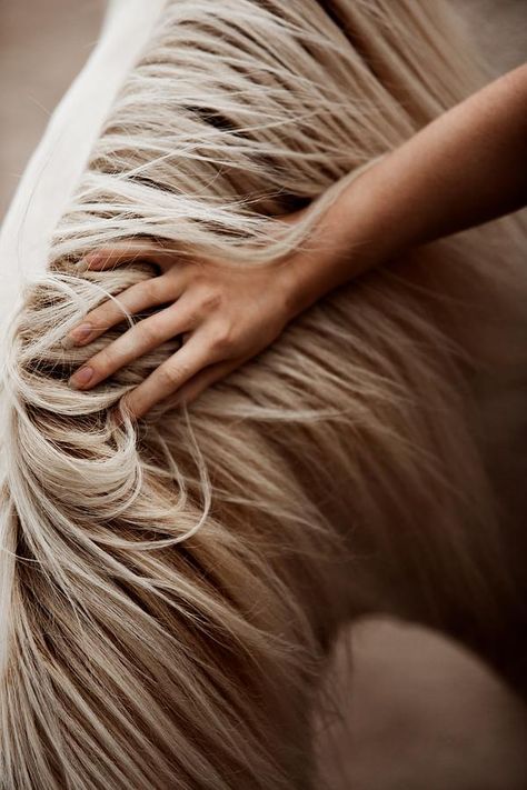 Connection at ArtfullyWalls, undefined Photoshoot With Horse Ideas, Horse With Girl, Photoshoot With Horse, Horse Photography Ideas, White Horse Photography, Equestrian Photoshoot, Equine Photography Poses, Soft Beige Color, Horse Photoshoot Ideas