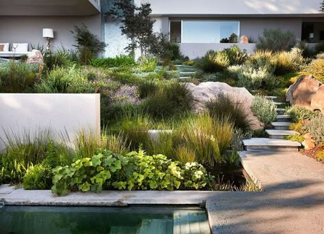 9 Lessons Learned from Tiny Backyards Contemporary Garden Design, Landscape Architecture Design, Contemporary Garden, Garden Landscape Design, Modern Landscaping, Garden Spaces, Shade Garden, Front Garden, Modern Garden