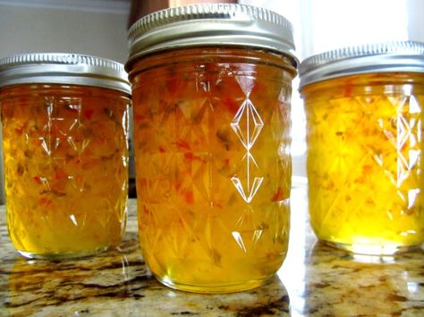 Orange Jalapeno Jelly Recipe - Genius Kitchen Jalapeno Jelly Recipes, Pepper Jelly Recipes, Jalapeno Jelly, Green Bicycle, Red And Green Christmas, Peach Jam, Pepper Jelly, Jam And Jelly, Jelly Recipes