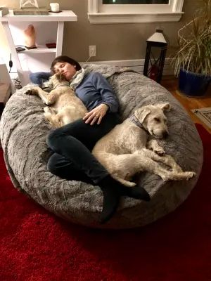 Two-Person Adult Bean Bag Chair | Moviesac | Lovesac Dog Boarding Ideas, Bean Bag Living Room, Chair Inspiration, Large Dog Bed, Frozen Dog Treats, Bean Bag Bed, Adult Bean Bag Chair, Frozen Dog, Dog Area