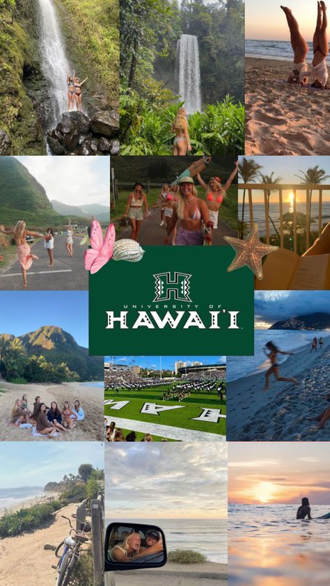 Uh Manoa Aesthetic, Byu Hawaii Aesthetic, Hawaii College Life, University Of Hawaii Aesthetic, University Of Hawaii At Manoa Campus, Hawaii College, Hawaii State University, University Of Hawaii At Manoa Marine Biology, Hawaii University