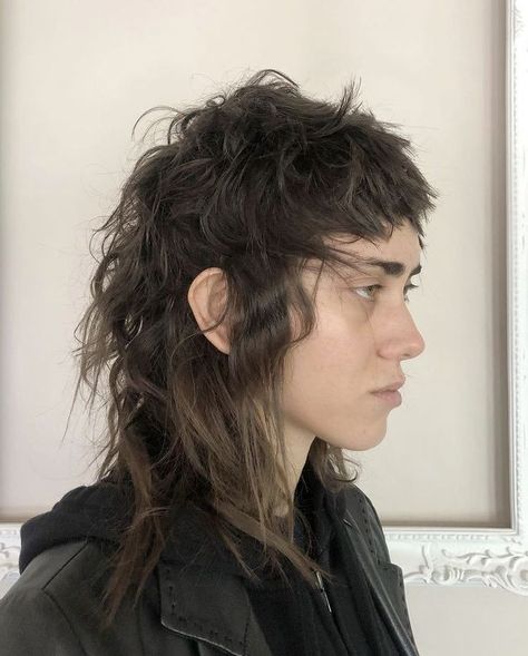 Curly Punk Mullet, Long Punk Mullet, Frosted Tips Mullet, Mullet With Braids, Dreadlock Mullet, Choppy Mullet, Alternative Mullet, Blowout Taper Fade, Skullet Haircut