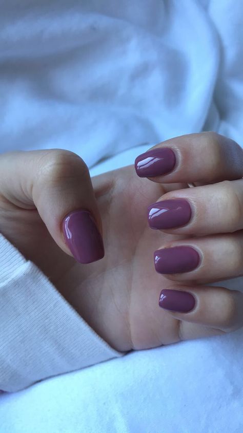 #shellacnails #purple #squarenails #pretty Squoval Purple Nails, Violet Short Nails, Short Acrylic Nails Plain Color, Purple Squoval Nails, Medium Purple Nails, Pinkish Purple Nails, Dark Purple French Tip Nails, Gel Overlay Nails, Light Purple Nails