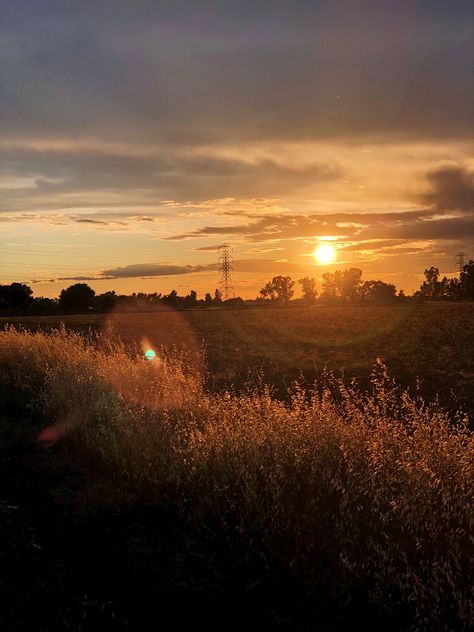 Rachael Core Aesthetics, Brown Sunset Aesthetic, Rachael Core, Brown Sunset, Sunset Field, Fall Sunset, Country Photography, Dreamy Photography, Photo Wall Collage