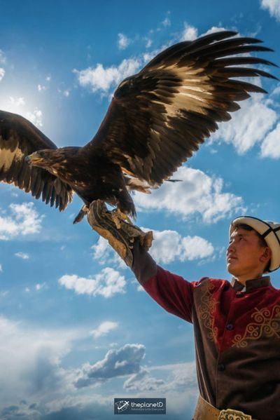 Kyrgyzstan Aesthetic, Eagle Hunter, Eagle Hunting, Asia City, Wildlife Photos, Dog Runs, The Eagle, Horse Training, Countries Around The World