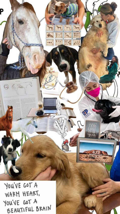 vet vision board Vet School Motivation, Veterinarians Medicine, Vet Tech School, Vet Nurse, Veterinary School, Veterinary Science, Vet Medicine, Nurse Aesthetic, Vet School