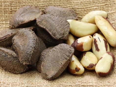 Brazil Nut Tree Info: How To Grow Brazil Nut Trees Brazil Nuts Benefits, Nuts Benefits, Brazil Nut, Brazil Nuts, Help Losing Weight, Nut Milk, Tree Nuts, Stuffed Shells, Eating Raw