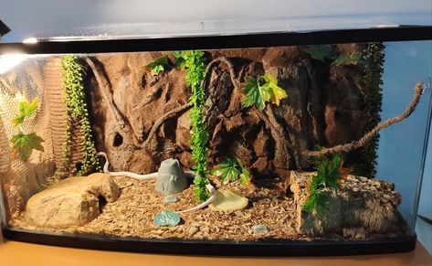 African House Snake Enclosure, Snake Tank Ideas Diy, Diy Snake Tank Decor, Corn Snake Setup, Hognose Snake Enclosure Ideas, Corn Snake Cage Ideas, Milk Snake Enclosure, Cornsnakes Enclosure, Snake Cage Ideas