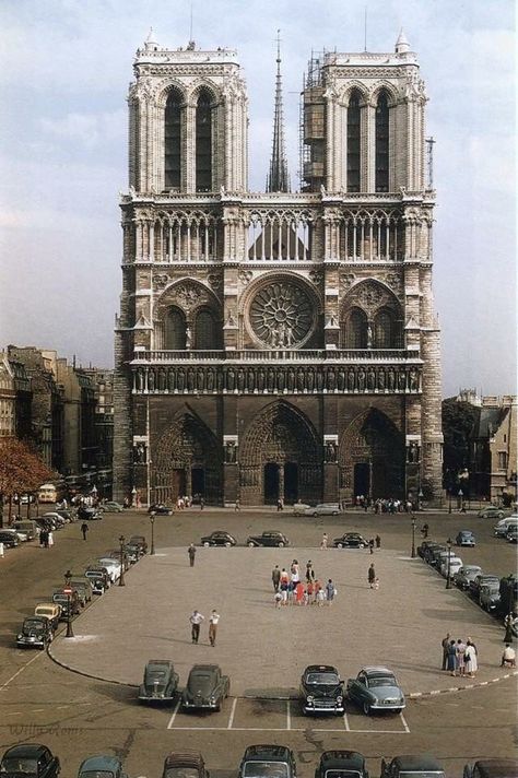 PARIS LES ANNÉES 1960. - catefleur Paris 1960s, Willy Ronis, Paris History, Cathédrale Notre-dame, Banana Pancake, Gothic Cathedrals, European Cities, Old Paris, France Photography