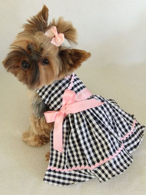 January 14 is National Dress Up Your Pet Day. Yorkie Clothes, Dog Clothes Patterns, Pet Day, Dog Items, Pet Fashion, Puppy Clothes, Sweet Dogs, Dog Dresses, Girl And Dog