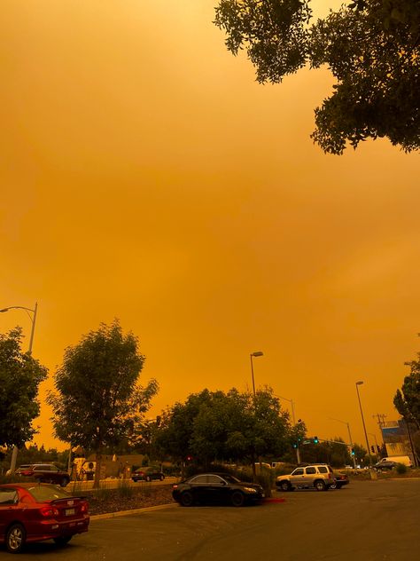 California Gothic, California Wildfire, Aesthetic Gallery, Gimme Shelter, California Wildfires, San Jose California, Sky Pictures, Book Aesthetics, Pollution