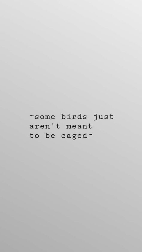 Because some birds just aren't meant tout be caged #freeme Some Birds Arent Meant To Be Caged Quote, Cage Quotes, Caged Bird, Bird Quotes, Beautiful Soul, Words Of Wisdom, Meant To Be, Birds, Wallpapers