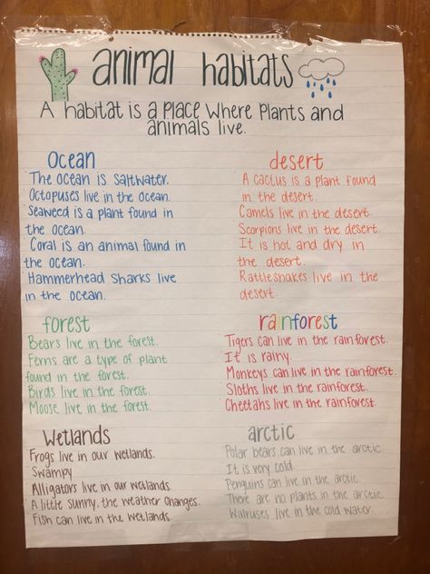 Second Grade Habitat Activities, Kindergarten Habitat Project, Animal Habitats Anchor Chart, Habitat Anchor Chart Kindergarten, Animals And Their Habitats Activities, Habitat Anchor Chart Second Grade, Habitats For Kindergarten, Grade 4 Habitats And Communities Science, Kindergarten Habitat Activities