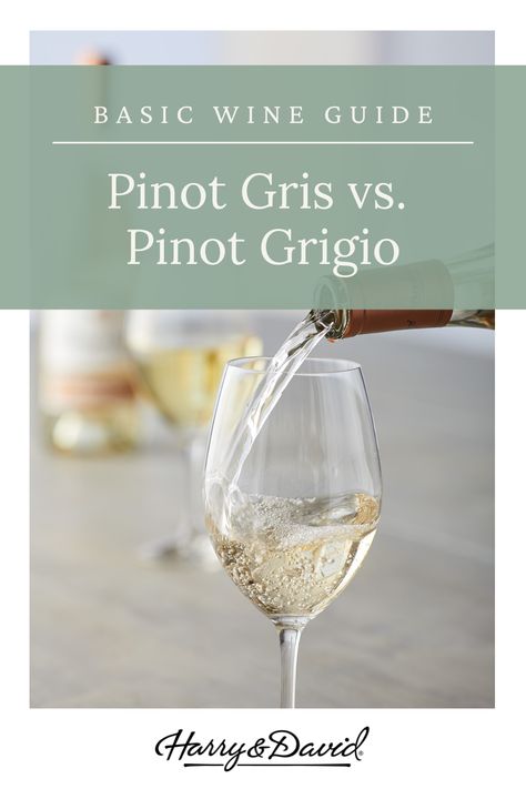 Pinot Gris Pairing, Pinot Noir Grapes, Wine 101, Wine Knowledge, White Grape, Food Pairing, Wine Education, Wine Guide, Pinot Gris